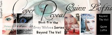 Cover Reveal: Beyond the Veil by Quinn Loftis - The Book Lover's Report